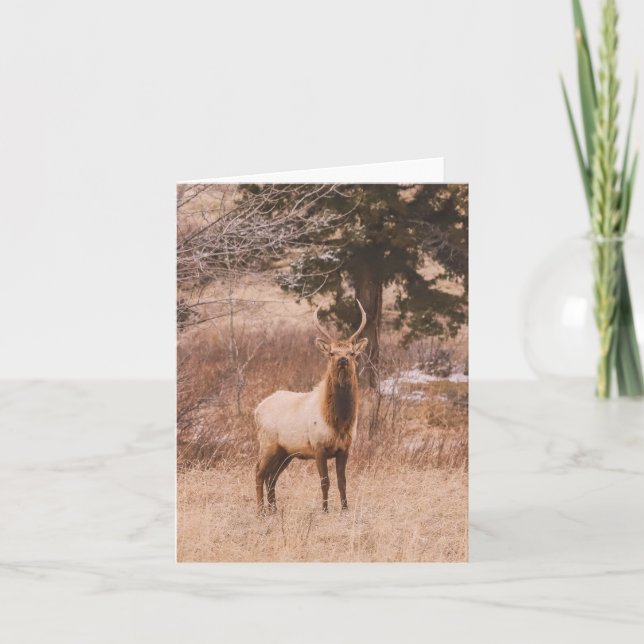 Adolescence - 4" x 5.6" Notecard (Front)