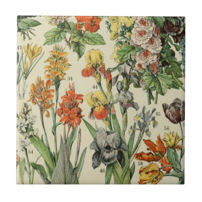 Adolph Millot Botanical Illustration 2 Ceramic Tile (Front)