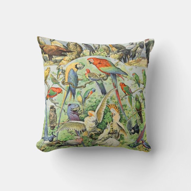 Adolphe Millot birds A Cushion (Front)