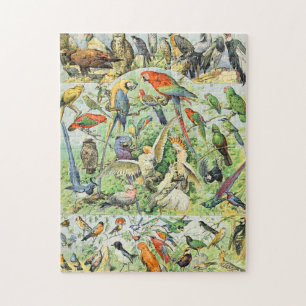 Adolphe Millot birds A Jigsaw Puzzle