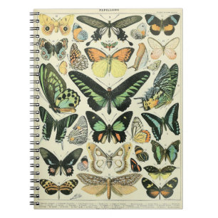Adolphe Millot Butterflies Pattern-B Notebook
