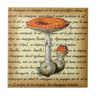 Adolphe Millot ~ Champignons-pour tous-fixed ~  Ceramic Tile