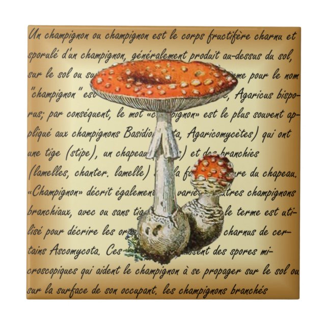 Adolphe Millot ~ Champignons-pour tous-fixed ~  Ceramic Tile (Front)