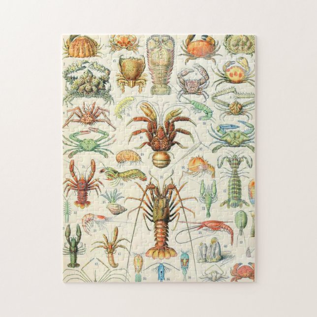 Adolphe Millot crustaces Jigsaw Puzzle (Vertical)