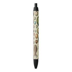 Adolphe Millot Dark Academia Vintage Bird Egg Art Black Ink Pen