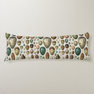 Adolphe Millot Dark Academia Vintage Bird Egg Art Body Cushion