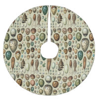 Adolphe Millot Dark Academia Vintage Bird Egg Art