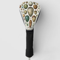 Adolphe Millot Dark Academia Vintage Bird Egg Art