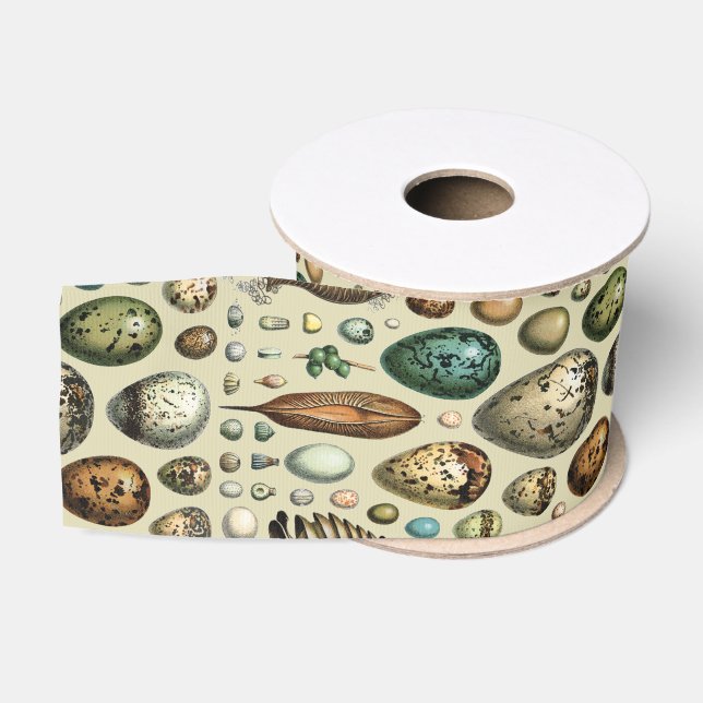 Adolphe Millot Dark Academia Vintage Bird Egg Art Grosgrain Ribbon (Spool)
