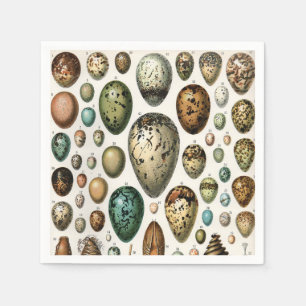 Adolphe Millot Dark Academia Vintage Bird Egg Art Napkin