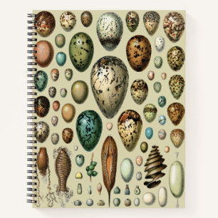 Adolphe Millot Dark Academia Vintage Bird Egg Art Notebook