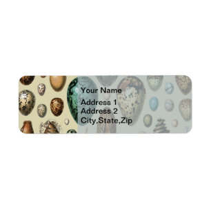 Adolphe Millot Dark Academia Vintage Bird Egg Art Return Address Label