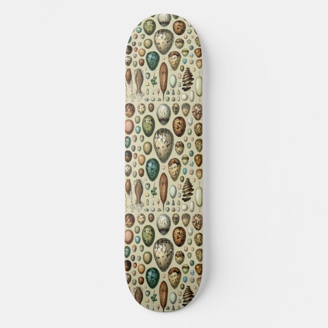 Adolphe Millot Dark Academia Vintage Bird Egg Art Skateboard (Front)