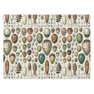 Adolphe Millot Dark Academia Vintage Bird Egg Art Tablecloth