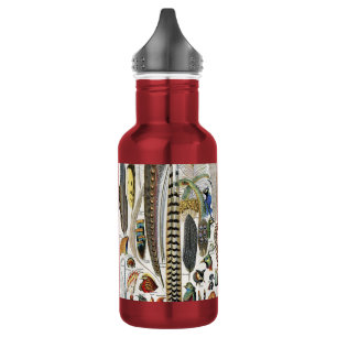 Adolphe Millot Dark Academia Vintage Bird Feather 532 Ml Water Bottle