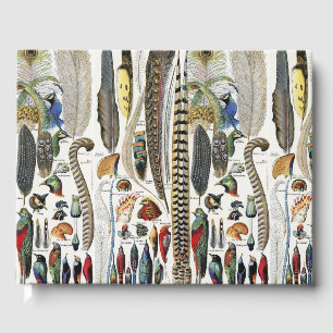 Adolphe Millot Dark Academia Vintage Bird Feather Guest Book