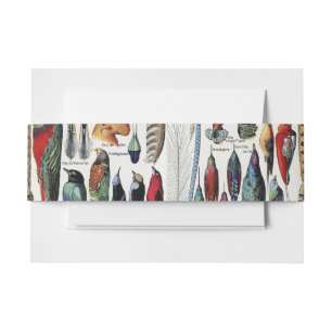 Adolphe Millot Dark Academia Vintage Bird Feather Invitation Belly Band