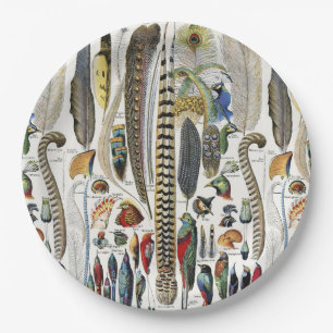 Adolphe Millot Dark Academia Vintage Bird Feather Paper Plate