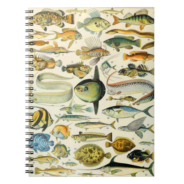 Adolphe Millot fish A Notebook (Front)