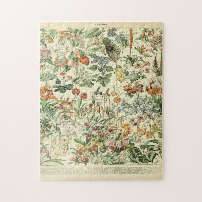 Adolphe Millot Fleurs D Jigsaw Puzzle (Vertical)