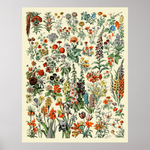 Adolphe Millot Flowers Poster
