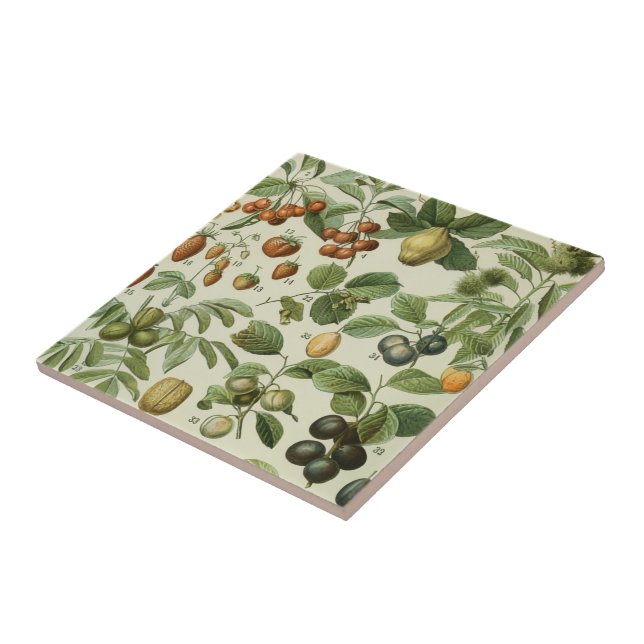 Adolphe Millot - Fruits Ceramic Tile (Side)