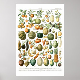 Adolphe Millot Fruits Poster