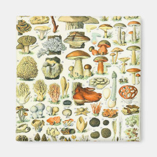 Adolphe Millot mushroom Magnet