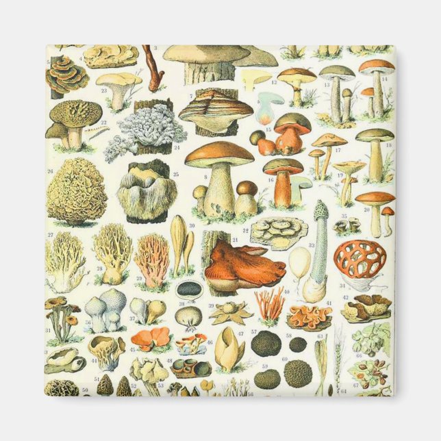 Adolphe Millot mushroom Magnet (Front)