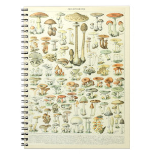 Adolphe Millot Notebook Mushrooms Pattern