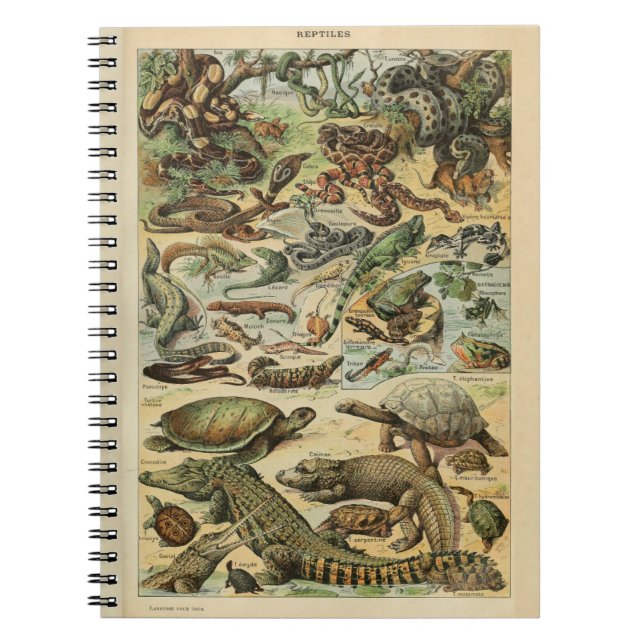 Adolphe Millot Reptile Pattern Notebook (Front)