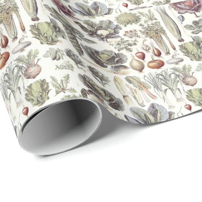 Adolphe Millot Vegetable Pattern Wrapping Paper (Roll Corner)