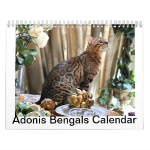 AdonisBengals Calendar- 2014 Calendar