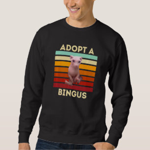 Adopt a Bingus Hairless Sphynx Cat Sweatshirt