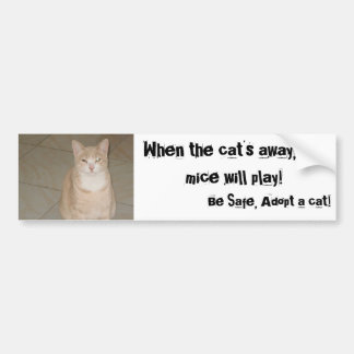 Adopt a Cat Bumper Sticker