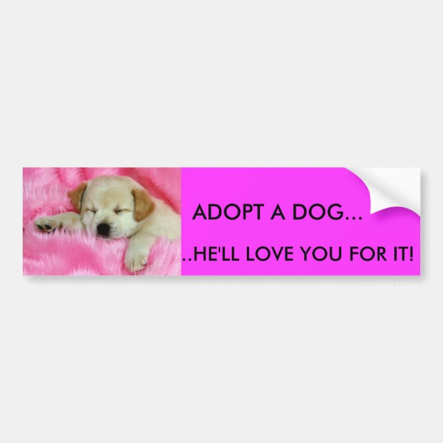 ADOPT A DOG BUMPER STICKER (Front)
