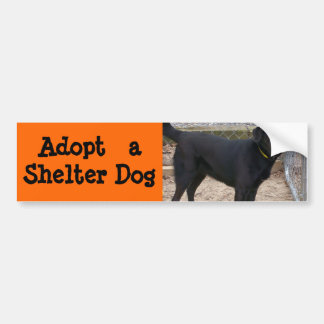 Adopt a Dog Bumper Sticker