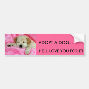 ADOPT A DOG BUMPER STICKER - Customised