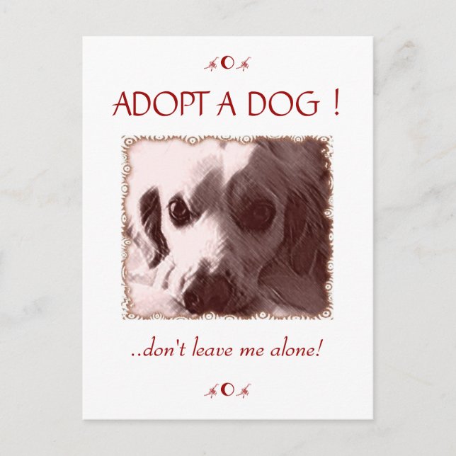 Adopt a Dog Postcard (Front)