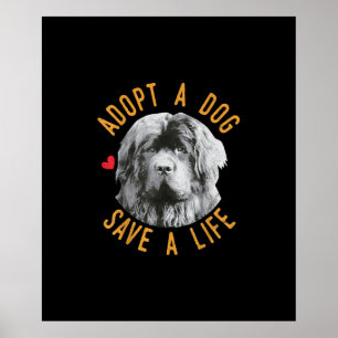 Adopt A Dog Save A Life Rescue Newfoundland Poster