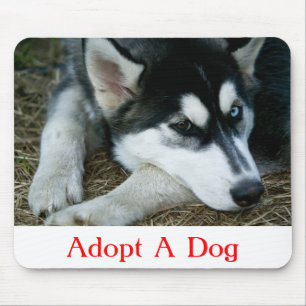 Adopt a Dog Siberian Husky Mousepad