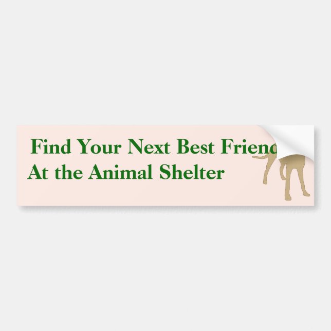 Adopt A Friend Bumper Sticker 5 (Front)