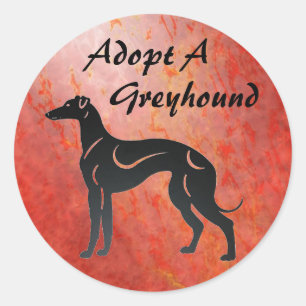 Adopt a Greyhound Dog Classic Round Sticker