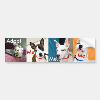 Adopt A Pet Bumper Sticker