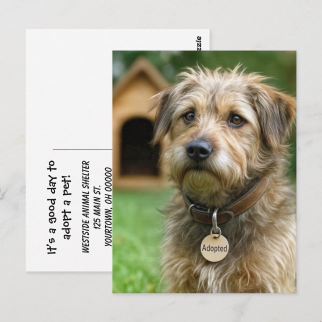 Adopt a Pet  Postcard (Front/Back)