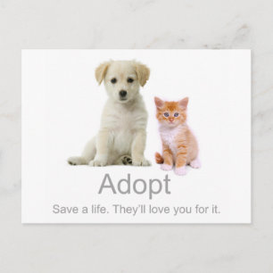 adopt a pet postcard