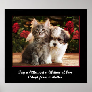 Adopt A Pet Poster