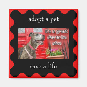adopt a pet, save a life magnet