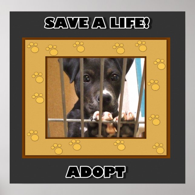 Adopt a puppy poster (Front)