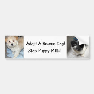 Adopt A Resuce Dog - Havanese Puppies Bumper Sticker